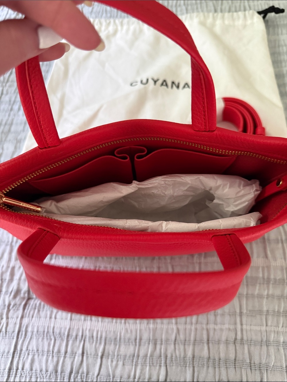 Cuyana Mini Easy Zipper Tote in Chili - Picture 2 of 6